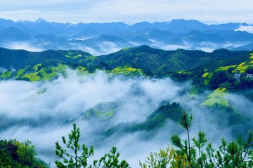 t01cd5b85f6433018c6 t01cd5b85f6433018c6