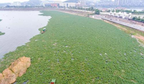 W020170725410242404621 W020170725410242404621