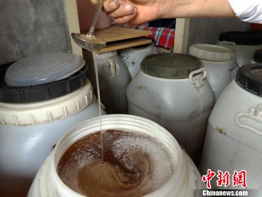 图为蜂农李虎云查看家中储藏的一桶桶蜂蜜?！『略?摄