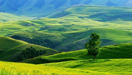 t01c678f2c1536e24f1 t01c678f2c1536e24f1