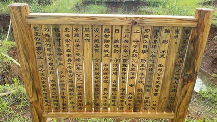 t0162158b5a1a116c22 t0162158b5a1a116c22