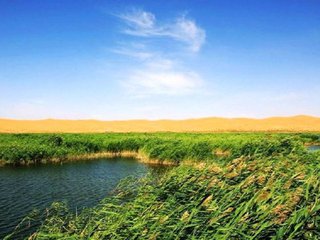 t0124b45446c79907d8 t0124b45446c79907d8