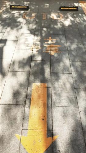 家居卖场施划的女士专享停车位。李奔 摄