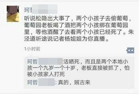网传两小孩偷葡萄被发现后遭绑起晒死 警方:谣言