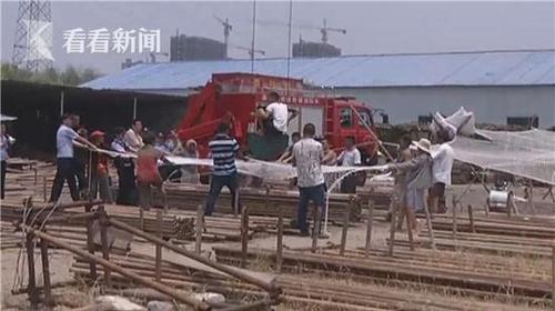 29ba5db0b2fec637f671414f05f15e25.jpg Still0728_00015.jpg