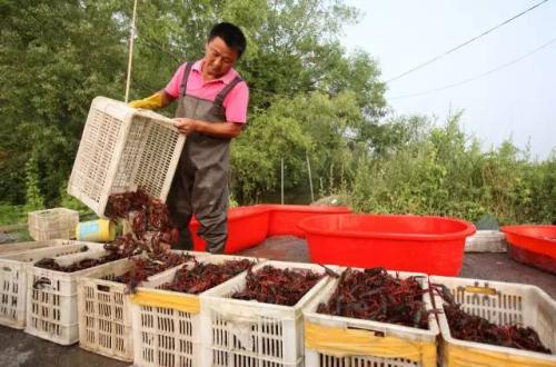 <a target='_blank' href='http://www.chinanews.com/'>中新社</a>发 胡卫国 摄   <a target='_blank' href='http://www.chinanews.com/'>中新社</a>发 胡卫国 摄