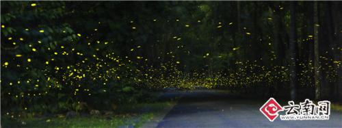 张娇娇 摄 点击进入下一页