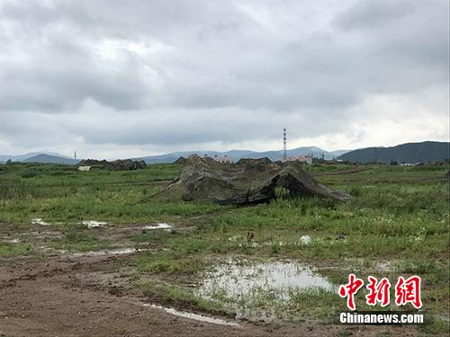 突击车隐蔽伪装。张曦 摄