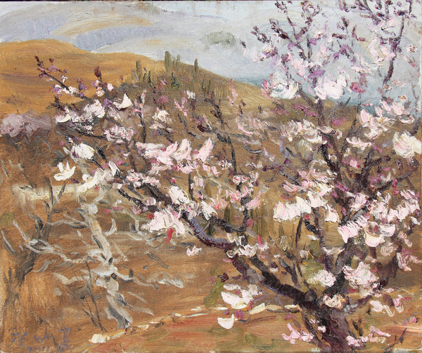 张世健《杏花系列之一》 50×60cm 布面油画 2017