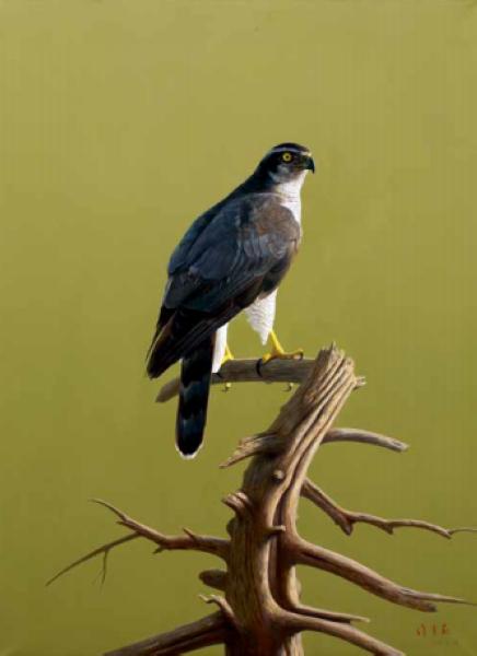 徐青巍 《远方》 73cm×100cm 2016年_nEO_IMG.jpg