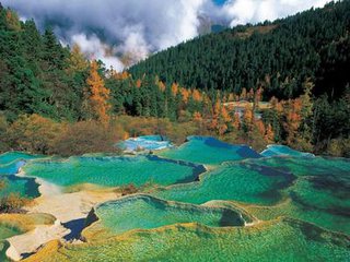 t01aec4152322141d35 t01aec4152322141d35