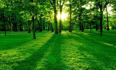 t01c16ccaa2f6f1ad13 t01c16ccaa2f6f1ad13