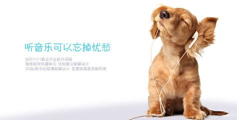 t016e226fd6f4628e8b t016e226fd6f4628e8b