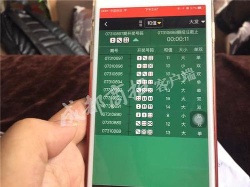 小伙苹果机下载赌博APP1小时输15万 家属怒讨说法