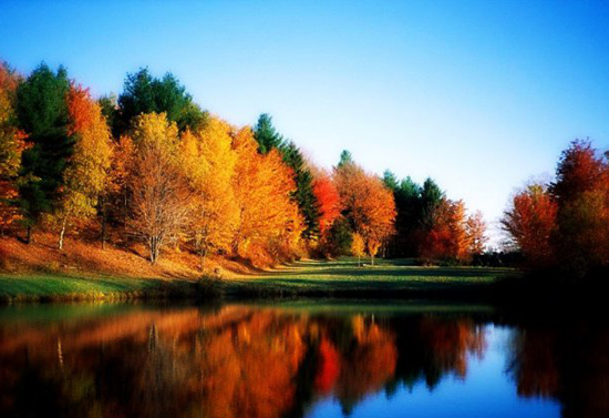 20130725072540739 20130725072540739