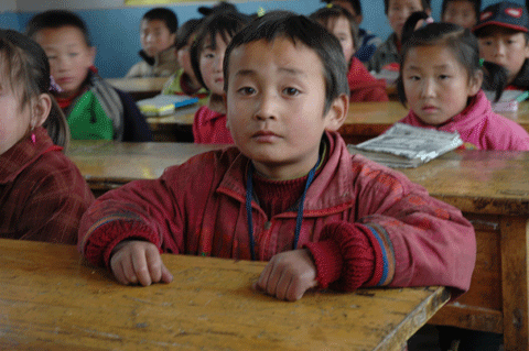 2744089672 2744089672