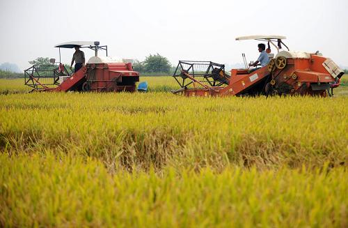 00142235e9880bc8e14801 00142235e9880bc8e14801