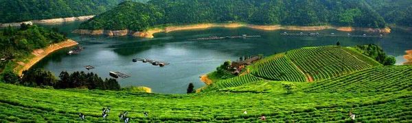 u=770795327,1578647084&fm=26&gp=0 u=770795327,1578647084&fm=26&gp=0