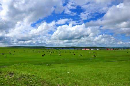 u=502529505,1165550138&fm=26&gp=0 u=502529505,1165550138&fm=26&gp=0