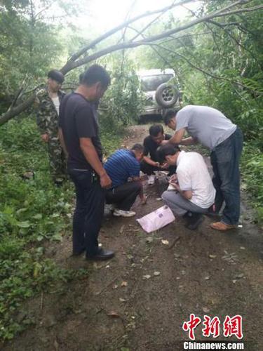 工作人员现场测量勘察 天桥岭林业局供图 摄 工作人员现场测量勘察 天桥岭林业局供图 摄