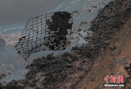 3104998209467377007 3104998209467377007