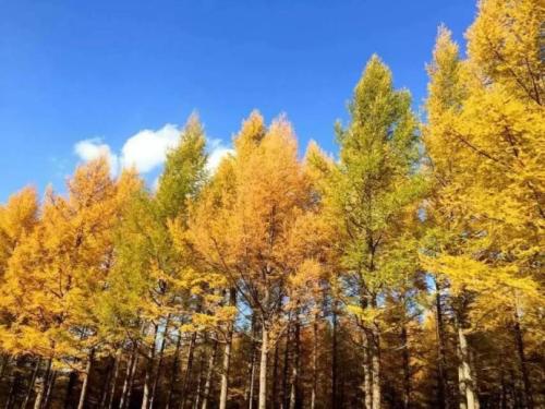 u=2036629400,2973090780&fm=26&gp=0 u=2036629400,2973090780&fm=26&gp=0