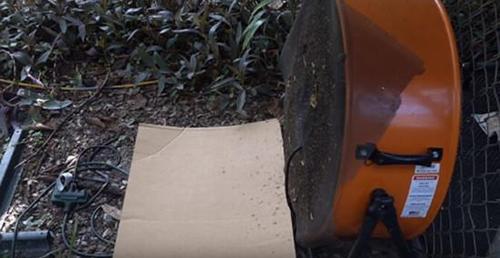 美国男子用1只狗2台风扇 两天消灭超8000只蚊子