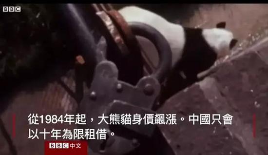 外媒:熊猫是中国的赚钱工具、外交手段和置换筹码