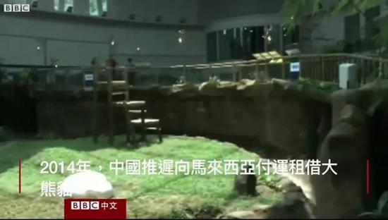 外媒:熊猫是中国的赚钱工具、外交手段和置换筹码