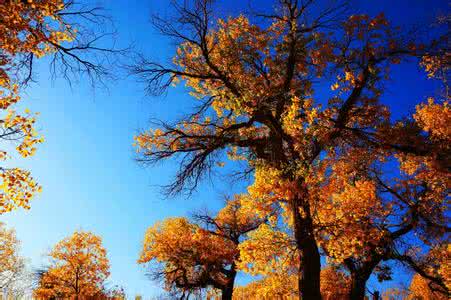 u=4287698591,3851785489&fm=26&gp=0 u=4287698591,3851785489&fm=26&gp=0