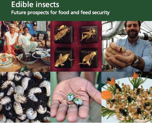 t0178d2076a1703ea71 t0178d2076a1703ea71