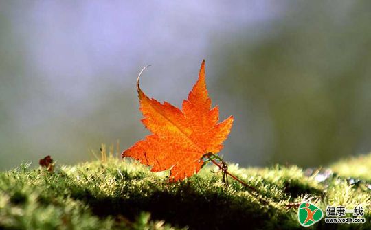 今日立秋:饮食增咸酸少辛辣
