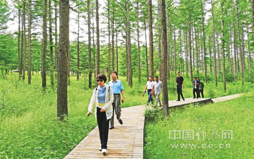 W020170807299364934959 W020170807299364934959