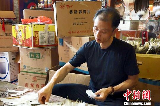     三河羽扇非遗技艺传承人丁政权在制作羽扇?！≈有馈∩? style=