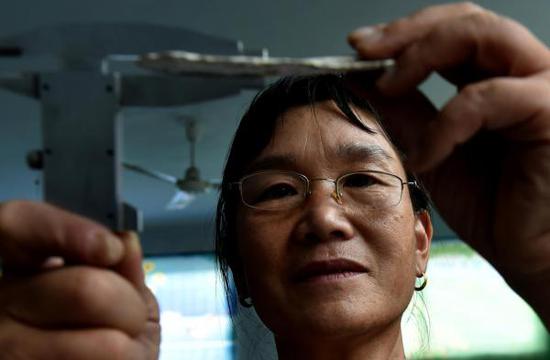 王从苗正在用卡尺测量陶片厚度。新华社发 （李嘉南 摄）