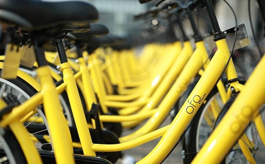 1121443060_15020787685511n 1121443060_15020787685511n