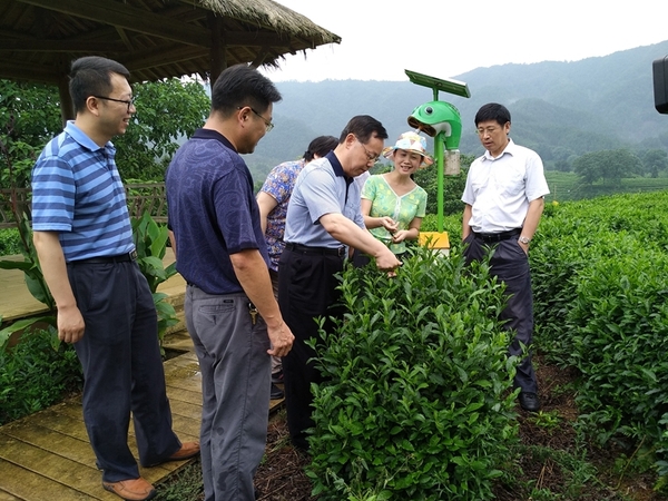 /website-webapp/ewebeditor/uploadfile/20170808085515614001