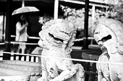 北京青年报记者昨日在圆明园流散文物展上看到，左侧的石狮子口中仅剩一颗石球 