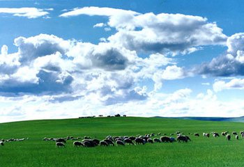 t01e9c0565d14cc6339 t01e9c0565d14cc6339