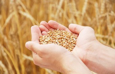 t0109a242497dc77f39 t0109a242497dc77f39