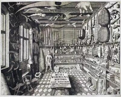 Herman Middendorp, 《Ole Worm的艺术房》，Musei Wormiani Historia, 1655年