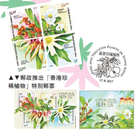 点击查看源网页