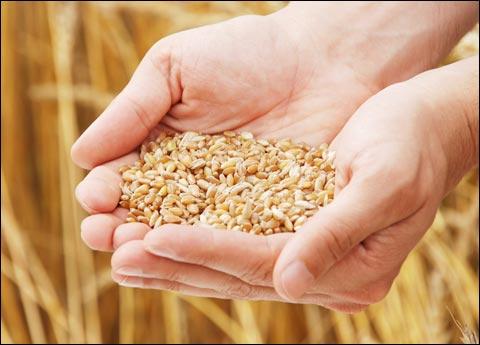 u=404398857,1040698085&fm=26&gp=0 u=404398857,1040698085&fm=26&gp=0