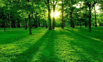 u=1352344255,1903009496&fm=72 u=1352344255,1903009496&fm=72