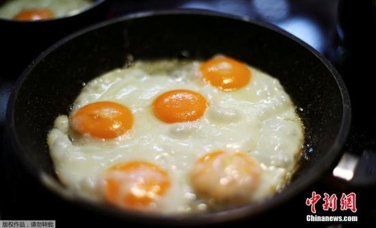 世界卫生组织(WHO)指，大量进食高浓度芬普尼一段时间，会损害肝脏、甲状腺和肾脏。（资料图）