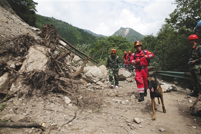 lid78313_b lid78313_b