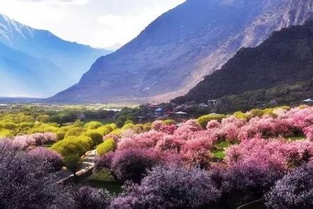 u=2916408846,2218532560&fm=26&gp=0 u=2916408846,2218532560&fm=26&gp=0