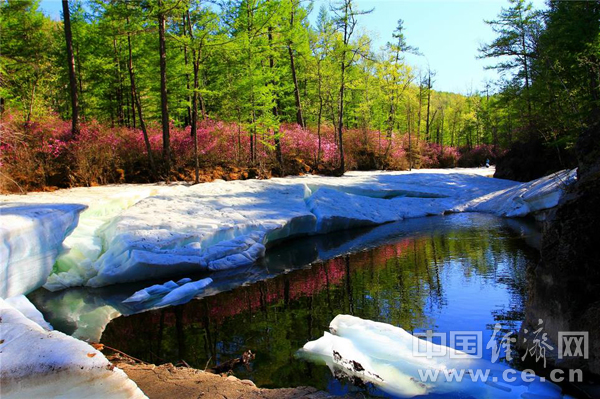 W020170812797991681665 W020170812797991681665