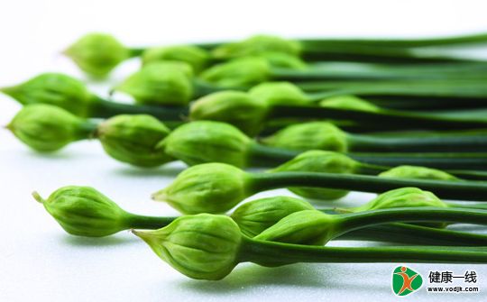 韭菜和韭菜花的营养价值