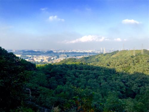 u=4261614156,1212052715&fm=26&gp=0 u=4261614156,1212052715&fm=26&gp=0